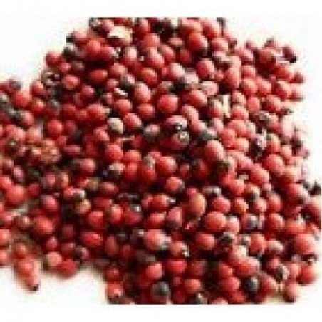 Gunja Lal Seeds Chirmati Red Beej Lal Ratti Abrus Precatorius