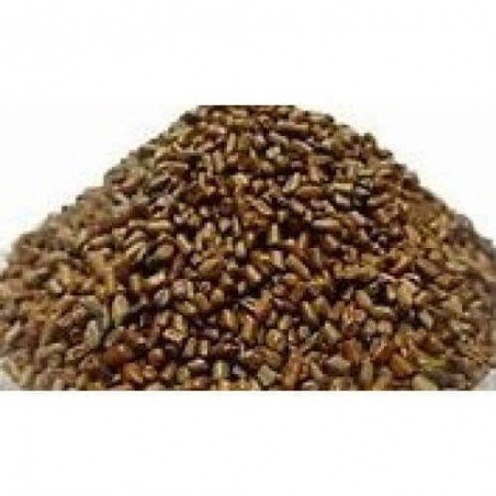 Puwar Pawar Panwar Beej  Panwar Seeds Cassia Tora Seeds