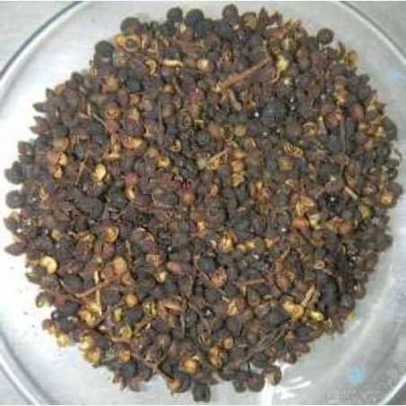 Tumbru Tomar Timur Tomru Beej Seeds Nepali Dhania Zanthoxylum Alatum