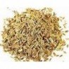 Gajar Beej Carrot Seeds Daucus Carota