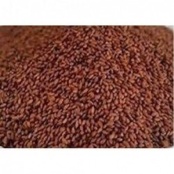 Chandrashura Chandrashoora Beej Asaliya Seed Garden Cress Seeds