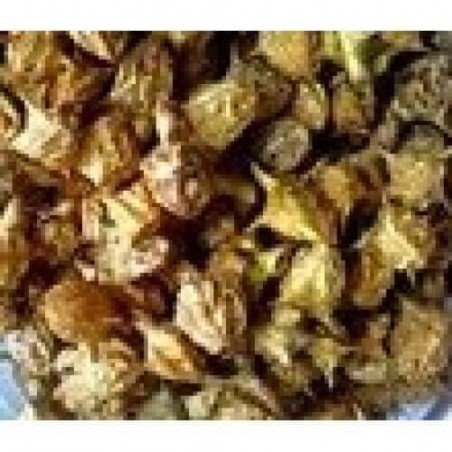 Gokhru Big Seed Gokharu Bada Beej Pedalium Murex – Large Caltrops Seeds