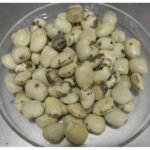 Kauch Beej Safed Kaunch Seeds White  Konch Mucuna Pruriens White