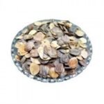 Harshingar Beej  Paarijaat Beej Harshringar Seeds Parijat Seeds Nyctanthes Arbor Tristis