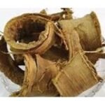 Arlu Chhal Aralu Chal Arlu Skin Shyonaka Chaal Ailanthus Excelsa