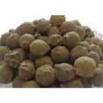 Majuphal Oak Gall Majoophal Manjakani Quercus Infectoria