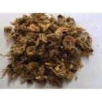 Tesu Flower Palash Phool Phool Tesu Dhak Fool Butea Monosperma