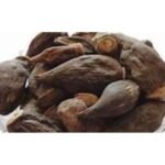 Salab Gatta Jad Salam Gatta Saalam Gutta Saalab Gatta Orchid Root