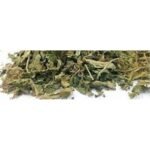 Gudmar Gurmar Madhunashni Nagapushpi Gymnema Sylvestre