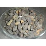 Harad Small Black Harad Choti Kali Black Himej ? Terminalia Chebula ? Myrobalan