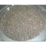 Khurasani Ajwain Khurasani Ajwaain Parasika Yavani Hyoscyamus Niger