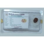 Rudraksh Dana Teen Mukhi-Three Face Lab Certified