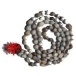 Vaijanti Vaijayanti  Mala