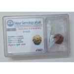Rudraksh Dana Aath Mukhi-Eight Face Lab Certified